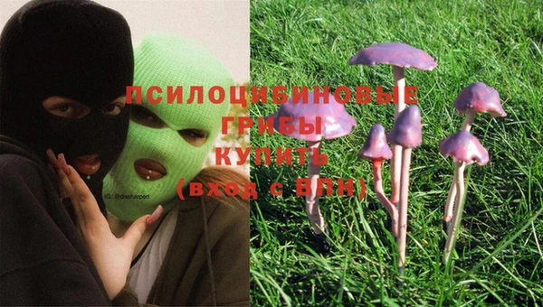 стаф Абдулино