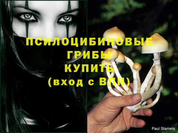 стаф Абдулино