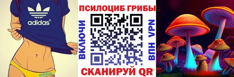 Псилоцибиновые грибы Magic Shrooms  Алатырь 